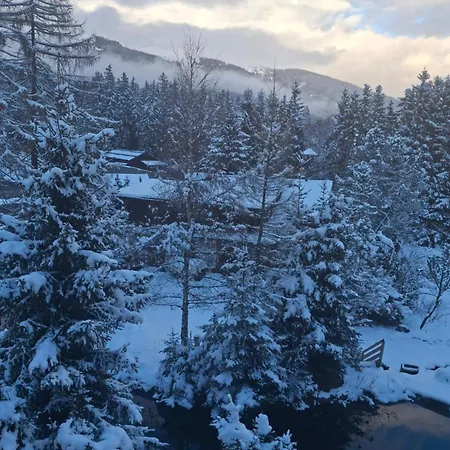 公寓 Panorama Right Next To Gondola Lift 米特西尔